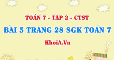 Bài 5 trang 28 SGK Toán 7 tập 2 Chân trời sáng tạo